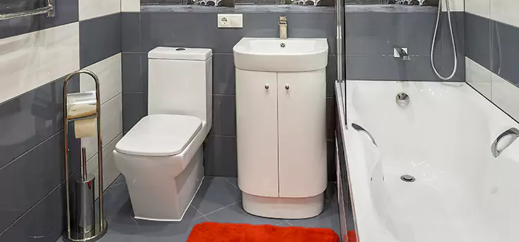 Hansgrohe Shaving Mirror Hopkinsville